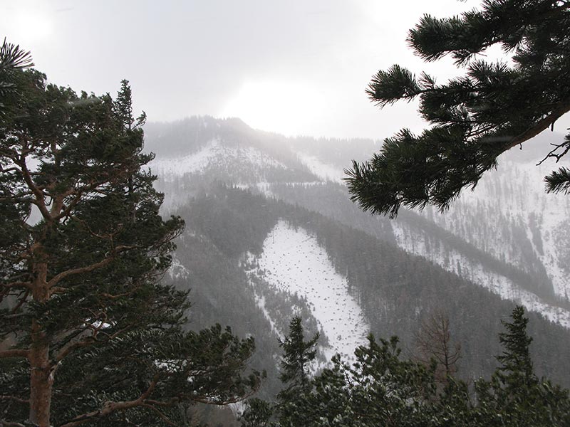 obersberg